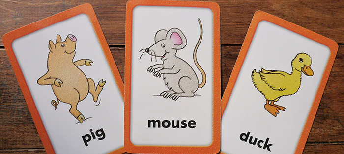 市販されている幼児向け英語教材(英語カード)